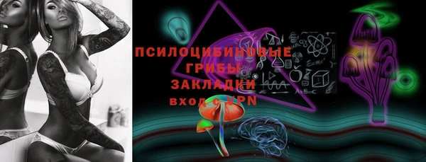 амф Арсеньев