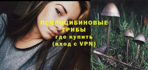 амф Арсеньев