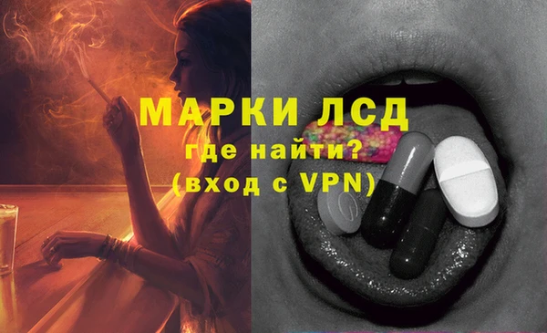 твердый Магас
